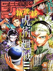 海贼王漫画封面